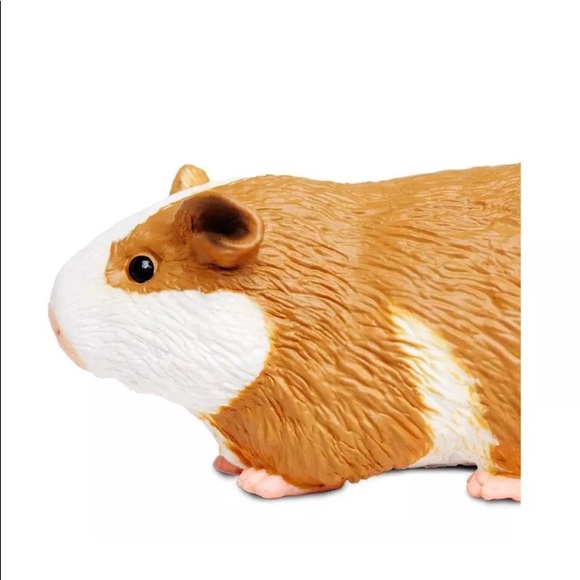 COPY - COPY - Guinea Pig Incredible Creatures Figure Safari Ltd - Picture 7 of 8